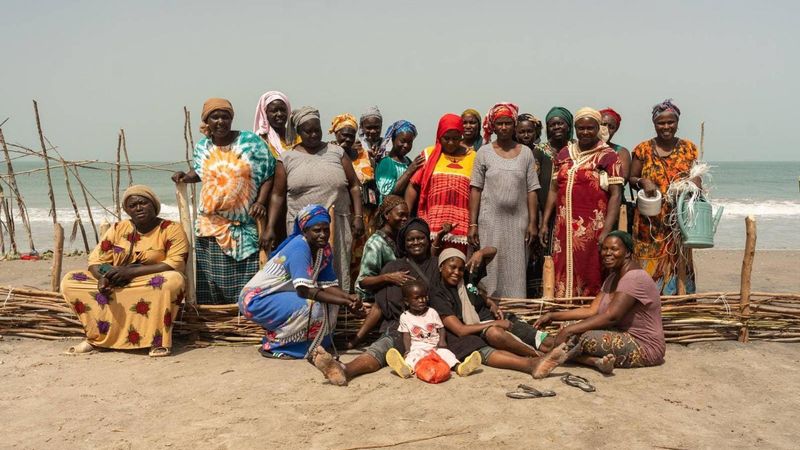 A new report from the Collective Minds Climate x Health Council, convened by Foundation S and the Africa-Europe Foundation, find that communities on the frontlines of climate change are not only adapting but innovating - designing scalable health solutions that extend far beyond their borders.